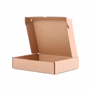 صندوق الطائرة
